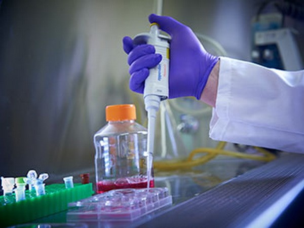Tìm ra phương pháp tách các virus HIV khỏi tế bào người