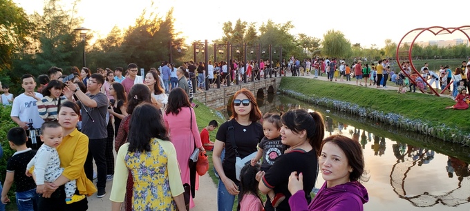 hoa-huong-duong-1115102018035350.jpg