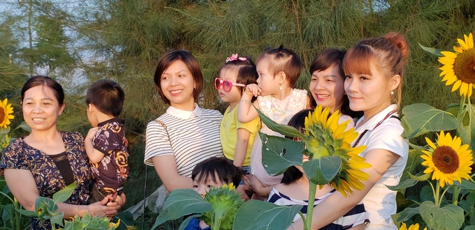 hoa-huong-duong-315102018035350.jpg