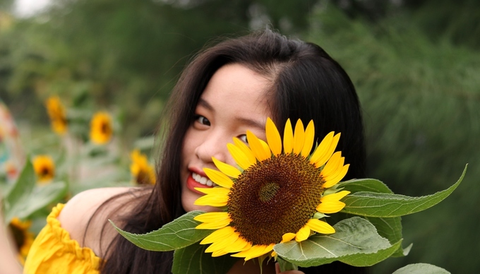 hoa-huong-duong-515102018035350.jpg