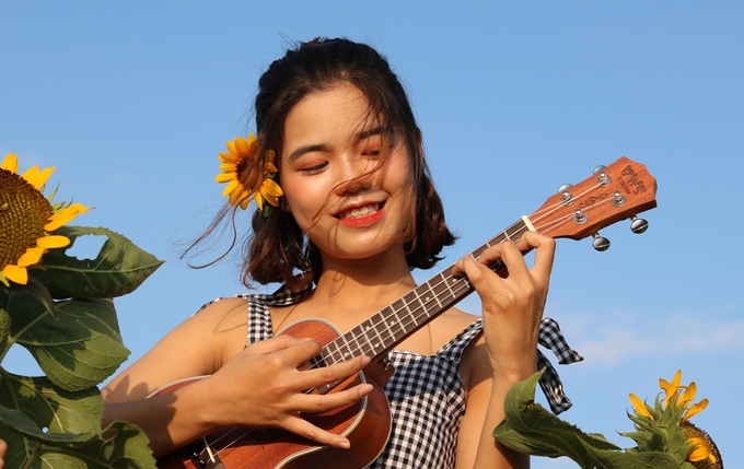 hoa-huong-duong-715102018035350.jpg