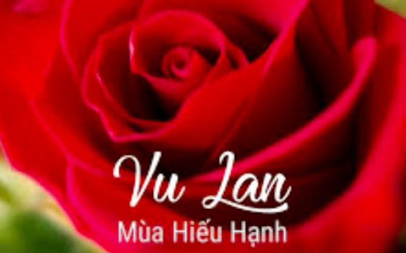 Hoa hồng đỏ trong tim Hoa hồng đỏ trong tim
