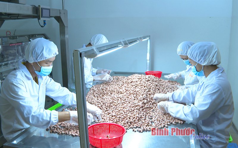 “Hoa và gai” trên lối đi mới - Bài 3 “Hoa và gai” trên lối đi mới - Bài 3