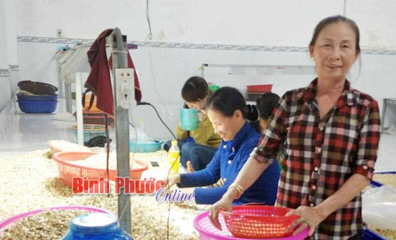 Hoa giữa đời thường Hoa giữa đời thường