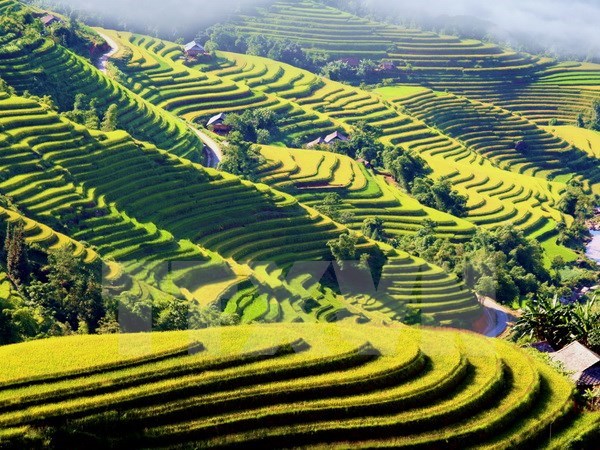 hoang_su_phi.jpg