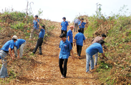hoatdongtrongcong.jpg