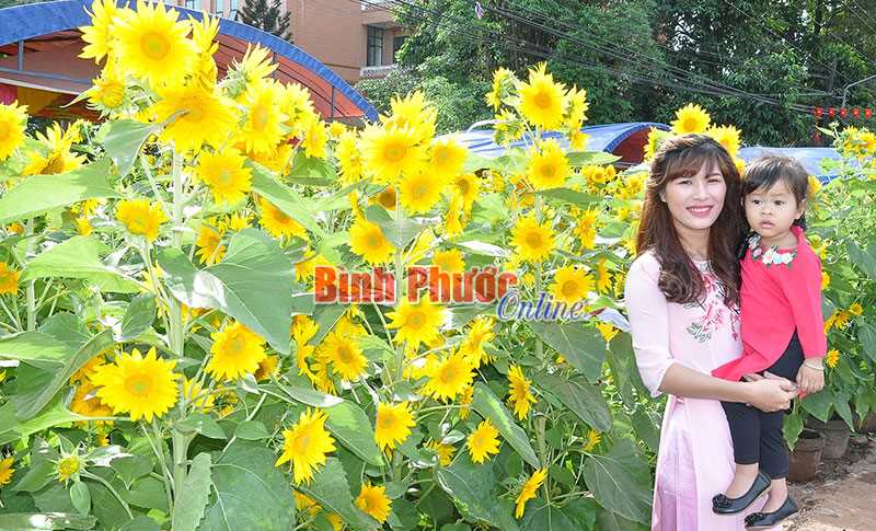 Đem hương xuân đến mọi nhà