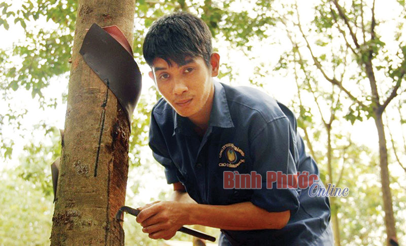 hoc-nghe.jpg