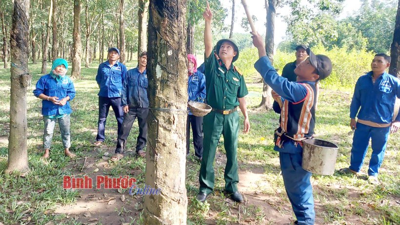 Học Bác để tốt hơn mỗi ngày