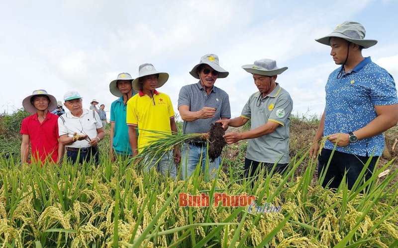 Hội thảo “Đất khỏe - cây trồng khỏe”