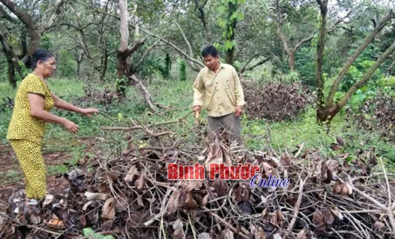 Hội CCB Bù Đăng còn 74 hộ nghèo Hội CCB Bù Đăng còn 74 hộ nghèo