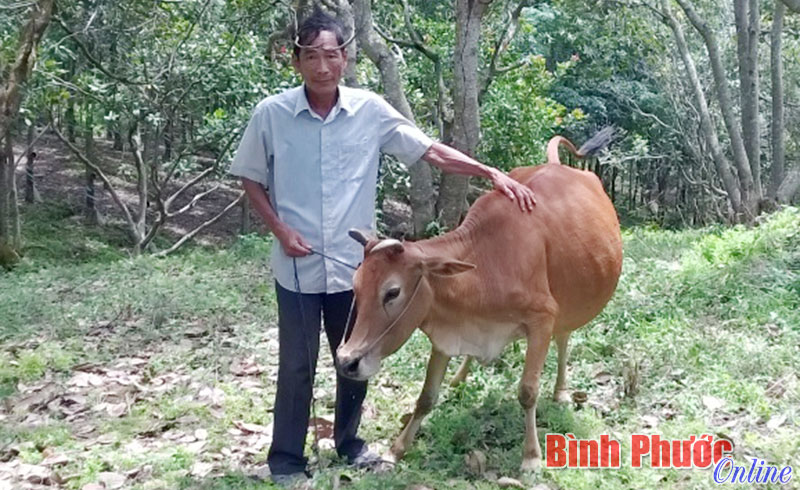 “Phao cứu sinh” của nhiều hoàn cảnh khó khăn “Phao cứu sinh” của nhiều hoàn cảnh khó khăn