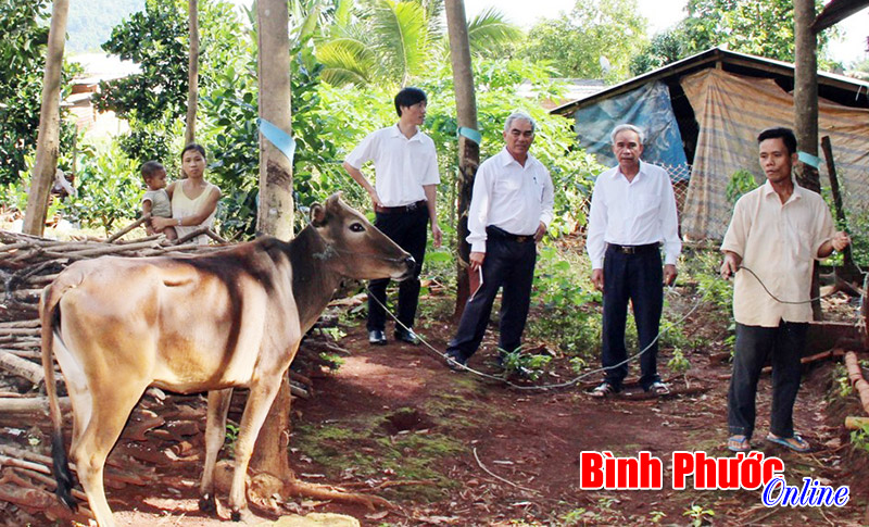 Hội chữ thập đỏ phường Phước Bình chung tay xóa nghèo Hội chữ thập đỏ phường Phước Bình chung tay xóa nghèo