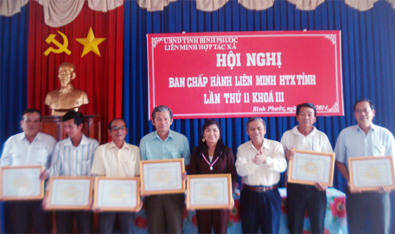 Kết quả hoạt động của tổ hợp tác và hợp tác xã Kết quả hoạt động của tổ hợp tác và hợp tác xã