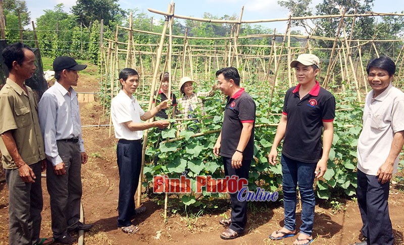 Hội Nông dân Bù Đăng tham gia xây dựng nông thôn mới Hội Nông dân Bù Đăng tham gia xây dựng nông thôn mới