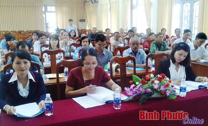 Hội thảo giới thiệu về cây ca cao
