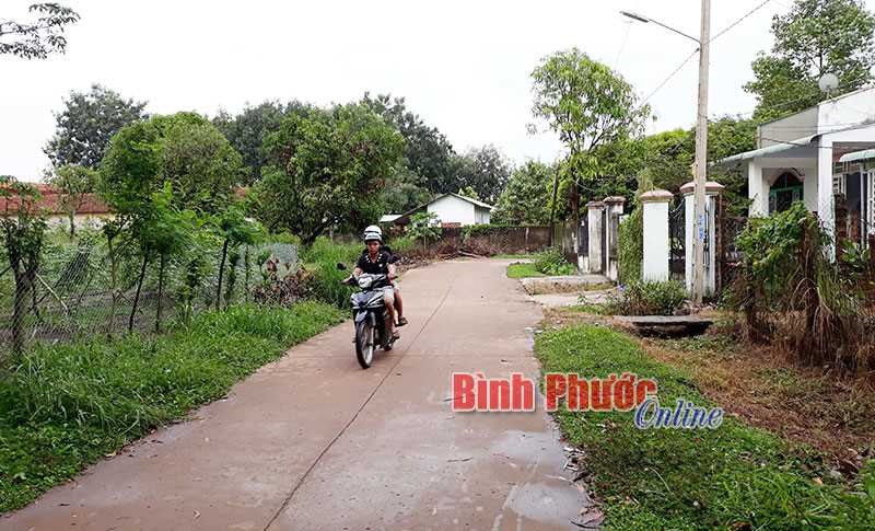 Hơn 300 tuyến đường, ngõ hẻm có điện chiếu sáng Hơn 300 tuyến đường, ngõ hẻm có điện chiếu sáng