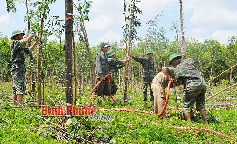 Hơn 60.000 nọc tiêu bị gãy, đổ do mưa lốc Hơn 60.000 nọc tiêu bị gãy, đổ do mưa lốc