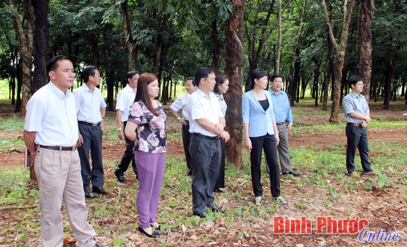 Hớn Quản còn 1.331 hộ nghèo