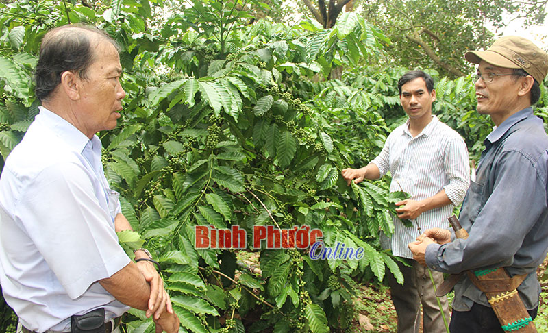 Hỗ trợ người dân phát triển sản xuất Hỗ trợ người dân phát triển sản xuất