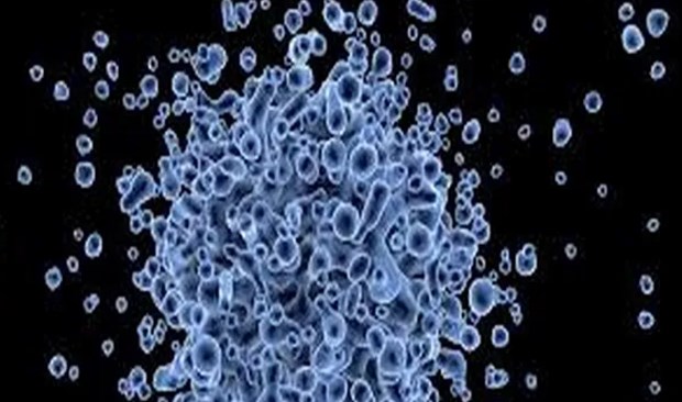 hpv_11190824062022.jpg
