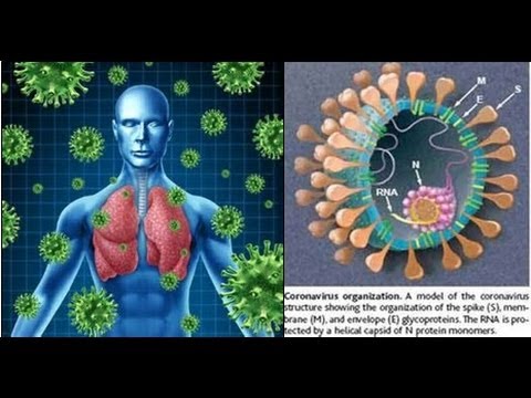 Bộ Y tế đưa ra các khuyến cáo phòng tránh MERS-CoV Bộ Y tế đưa ra các khuyến cáo phòng tránh MERS-CoV