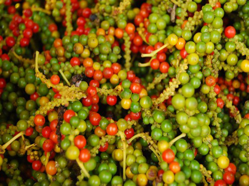Lộc Ninh: Thu thuế nông sản giảm 40 tỷ đồng Lộc Ninh: Thu thuế nông sản giảm 40 tỷ đồng