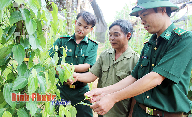 huongdenmuatieu.jpg