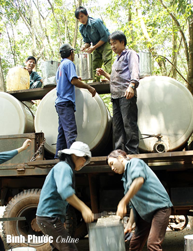 huongdimoicuanganhcaosu.jpg