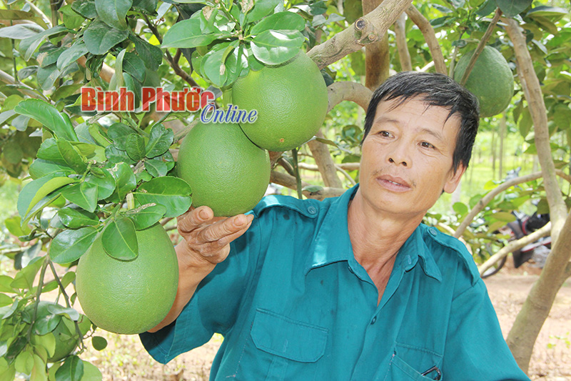 huongdinao.jpg