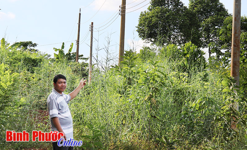 Phước An: Huy động mọi nguồn lực xây dựng nông thôn mới