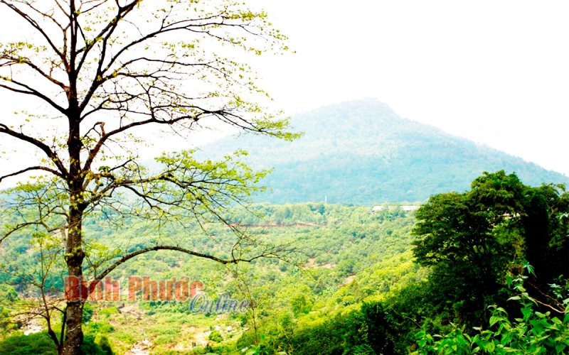 Huyền thoại miếu Bà Phước Long (Bài 1)