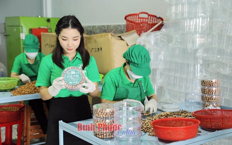 Ði lên từ những “hạt mầm sức khỏe”