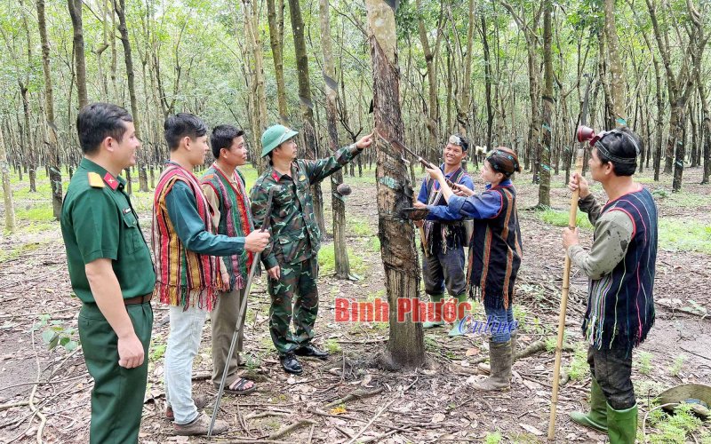 Ðiểm tựa vùng biên