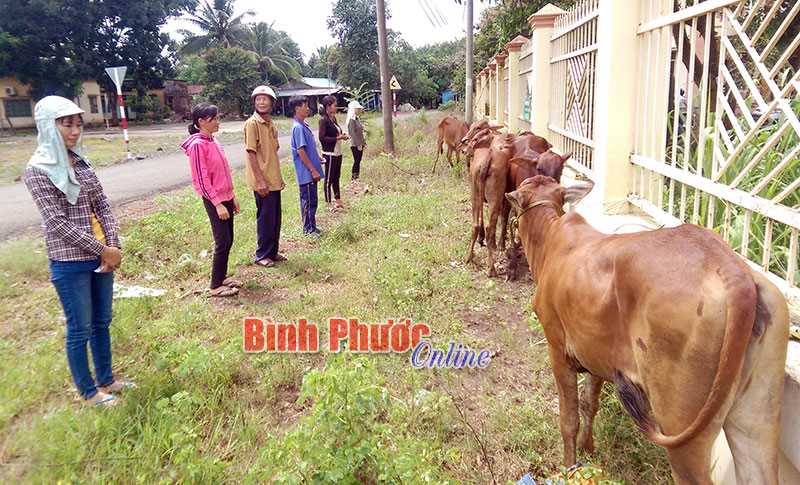 Quy trình rà soát hộ nghèo, hộ cận nghèo Quy trình rà soát hộ nghèo, hộ cận nghèo