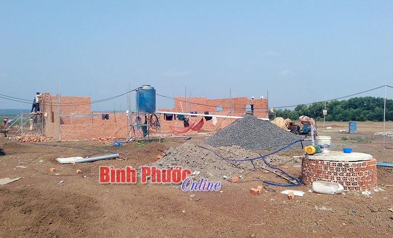 Đất Bàu Đưng tiếp tục bị xâm canh