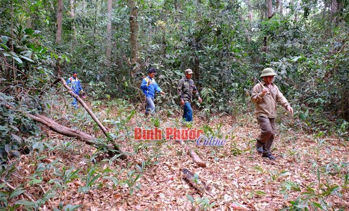 Gian nan bảo vệ “lộc rừng” - Bài cuối Gian nan bảo vệ “lộc rừng” - Bài cuối