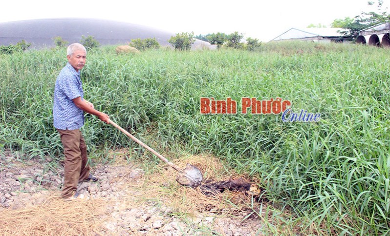 Sống trong ô nhiễm Sống trong ô nhiễm