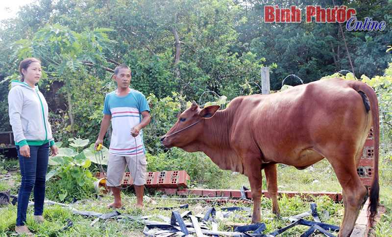 Quang Minh phấn đấu giảm 20% hộ nghèo Quang Minh phấn đấu giảm 20% hộ nghèo