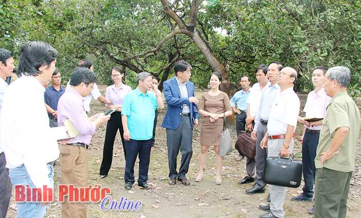 Mưa bất thường, dự báo mùa khô sẽ bớt khốc liệt hơn Mưa bất thường, dự báo mùa khô sẽ bớt khốc liệt hơn