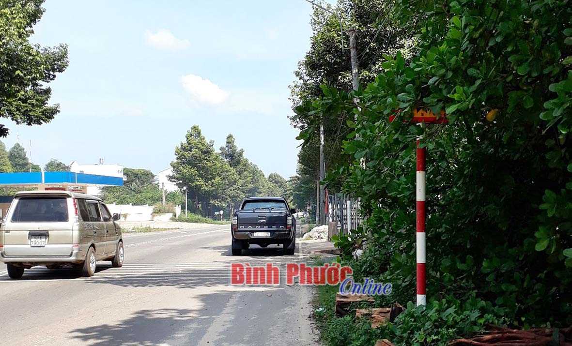 Biển báo giao thông có như không Biển báo giao thông có như không