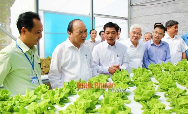 Bình Phước đẩy mạnh phát triển và ứng dụng công nghệ sinh học Bình Phước đẩy mạnh phát triển và ứng dụng công nghệ sinh học