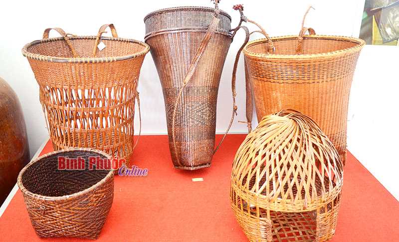 Cây lồ ô trong đời sống người S’tiêng Cây lồ ô trong đời sống người S’tiêng