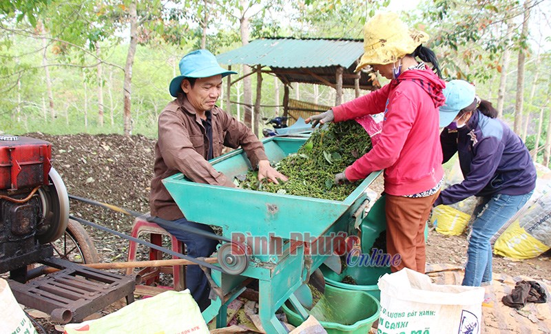 Nhà nông lập nghiệp Nhà nông lập nghiệp