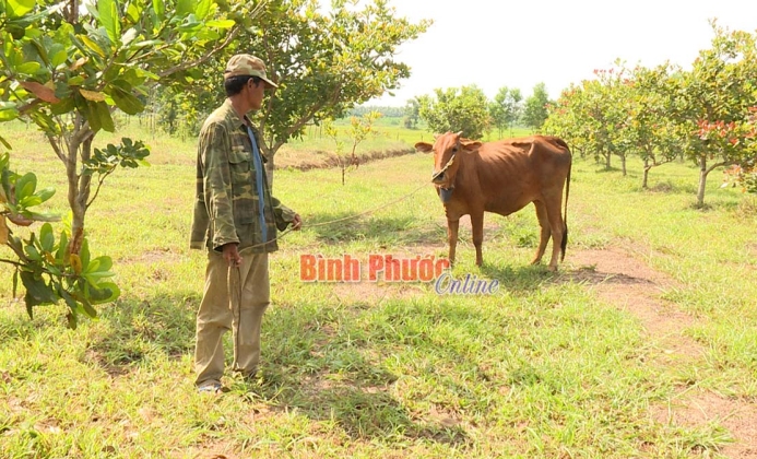 Người dân khu định canh, định cư Lộc Hòa còn nhiều khó khăn Người dân khu định canh, định cư Lộc Hòa còn nhiều khó khăn