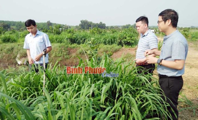 Ứng dụng khoa học - công nghệ trong sản xuất nông nghiệp Ứng dụng khoa học - công nghệ trong sản xuất nông nghiệp