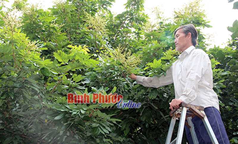Linh hoạt thành lập tổ hợp tác, chi hội nghề nghiệp Linh hoạt thành lập tổ hợp tác, chi hội nghề nghiệp