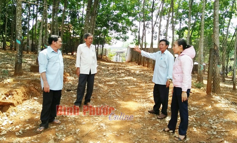 Đổi thay từ phong trào thi đua yêu nước ở Bình Tân Đổi thay từ phong trào thi đua yêu nước ở Bình Tân