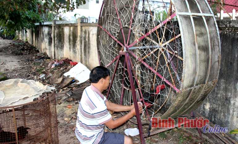 Gà trong đời sống tâm linh và hiện đại Gà trong đời sống tâm linh và hiện đại