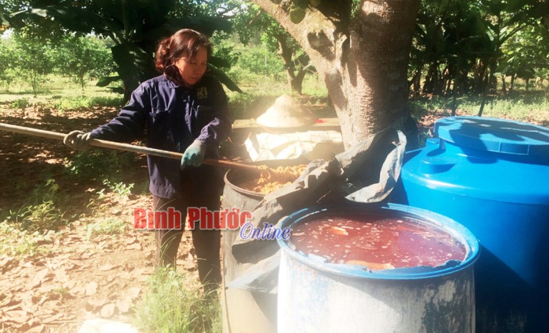 Ứng dụng công nghệ sinh học vào sản xuất Ứng dụng công nghệ sinh học vào sản xuất